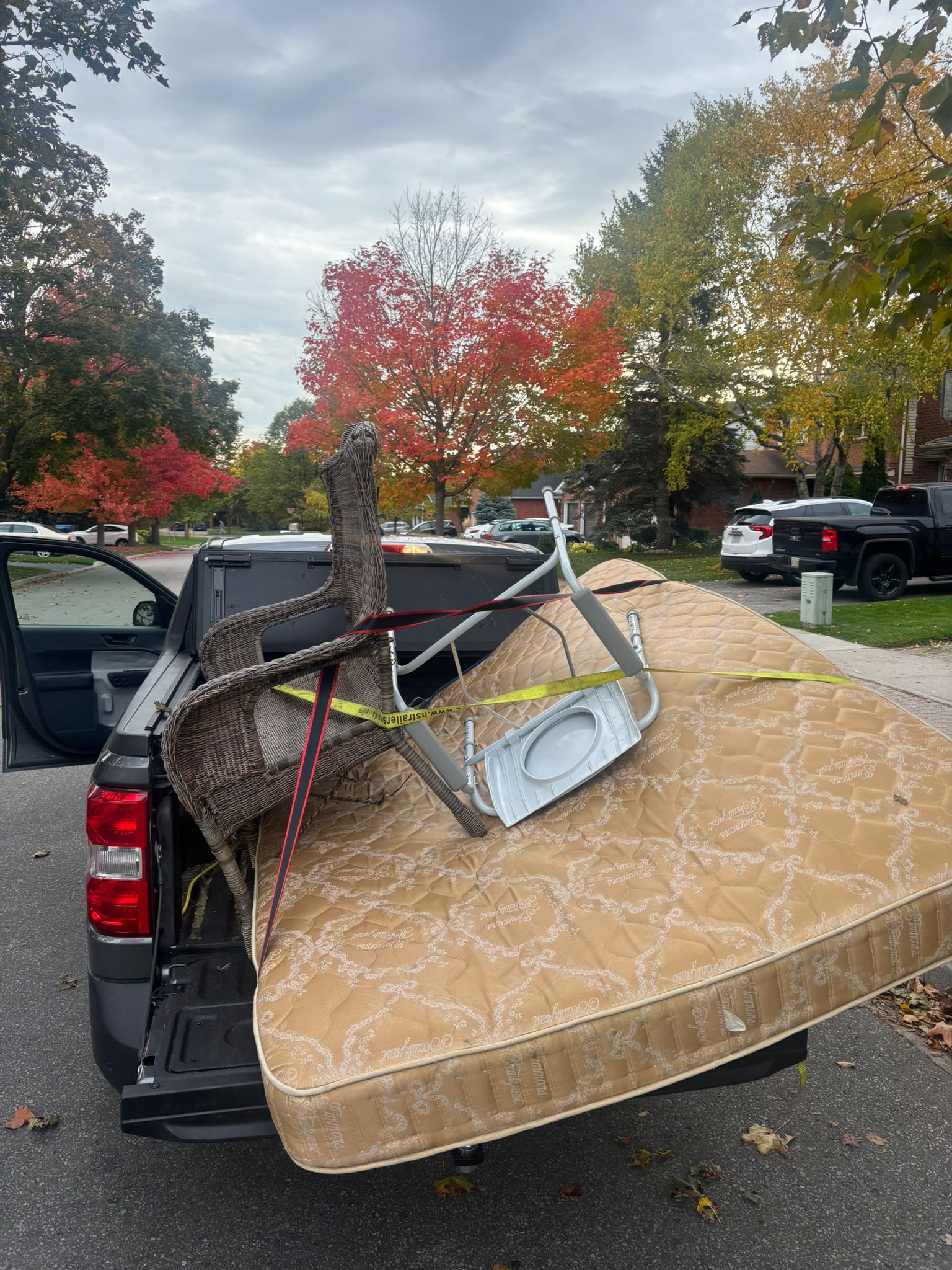 WhatsApp Image 2025-10-20 at 08.56.45_34b82efe